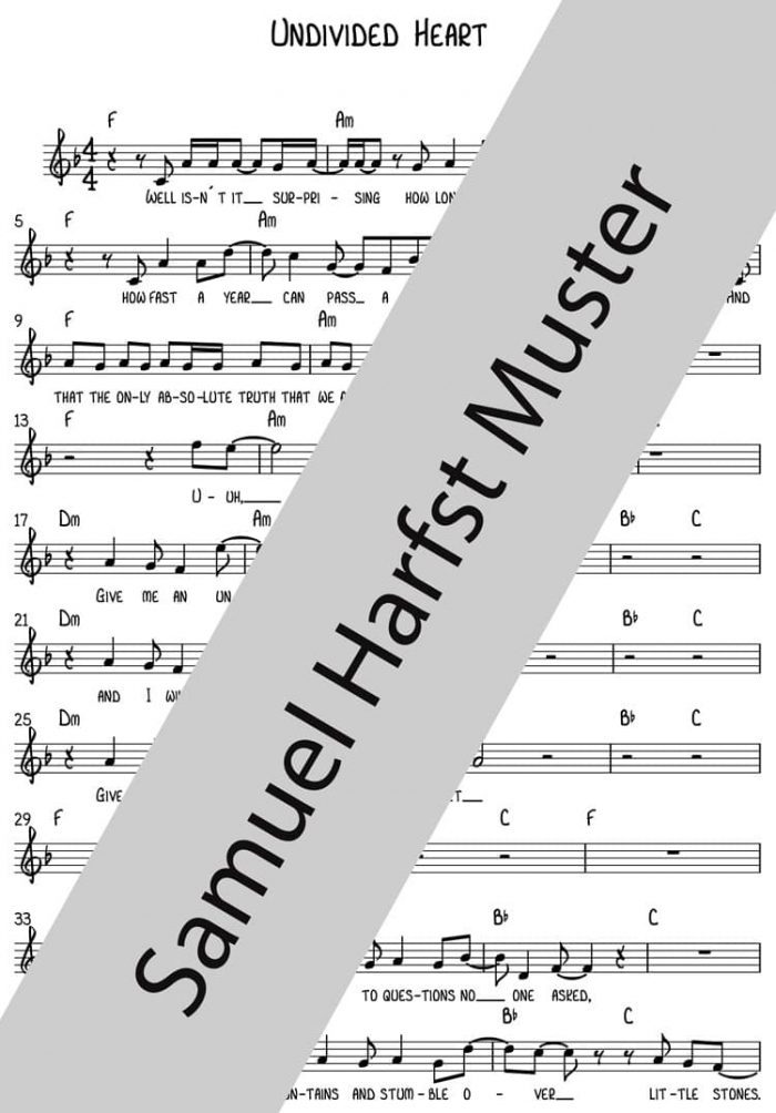 NOTEN | Undivided Heart